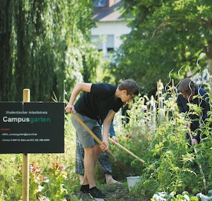  Gärtner am Campus